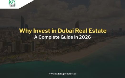Why Invest in Dubai Real Estate